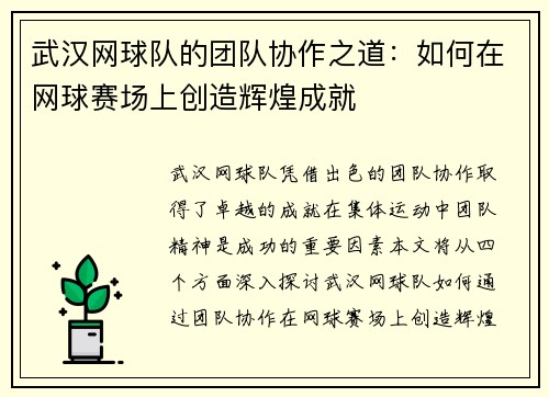 武汉网球队的团队协作之道：如何在网球赛场上创造辉煌成就