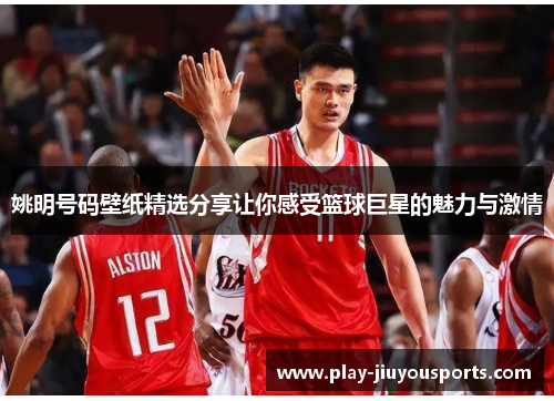 姚明号码壁纸精选分享让你感受篮球巨星的魅力与激情